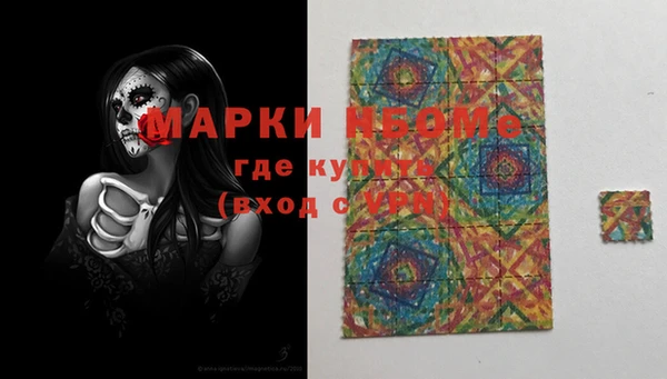 крисы Няндома