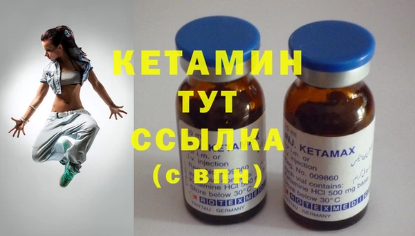крисы Няндома