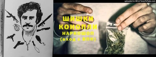 молекула духа Нягань