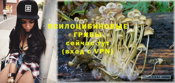молекула духа Нягань