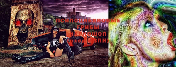 крисы Няндома