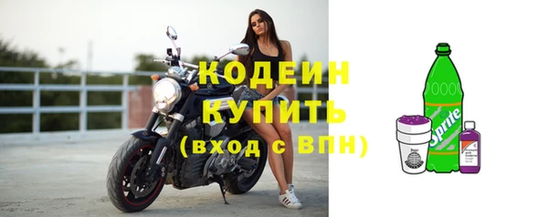 молекула духа Нягань