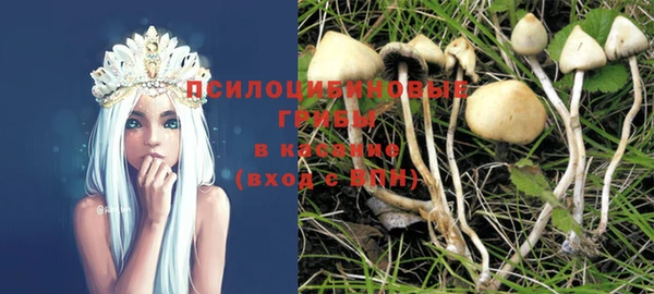 крисы Няндома