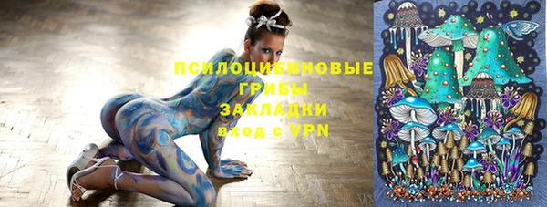 крисы Няндома