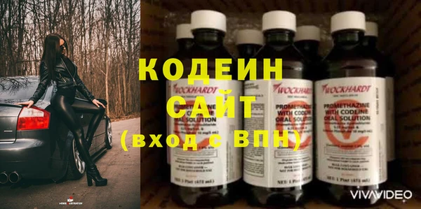 крисы Няндома