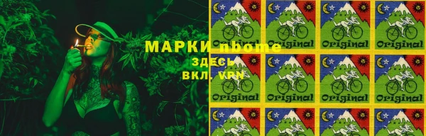молекула духа Нягань