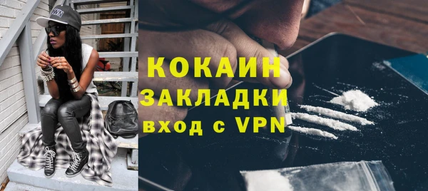 молекула духа Нягань
