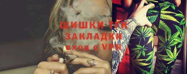 крисы Няндома
