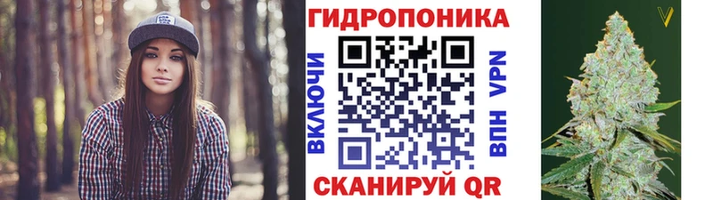 Бошки Шишки конопля  Купить где  Разумное 